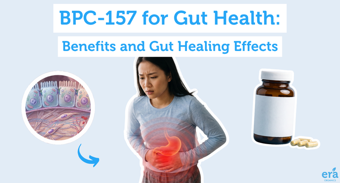 BPC-157 for Gut Health: Benefits and Gut Healing Effects