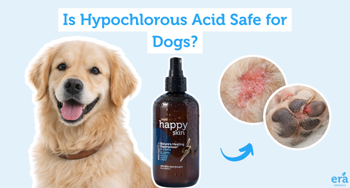Is Hypochlorous Acid Safe for Dogs?